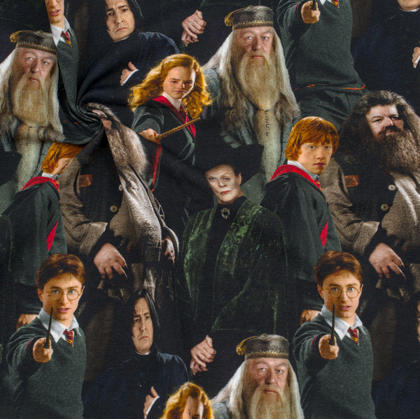 Lizenz Baumwoll Stretch Jersey Harry Potter Charaktere Schwarz