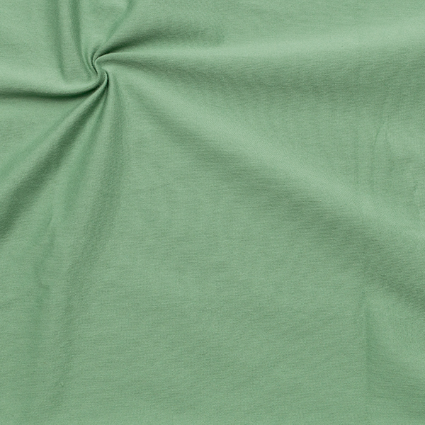 Organic Baumwoll Stretch Jersey Farbe Mint