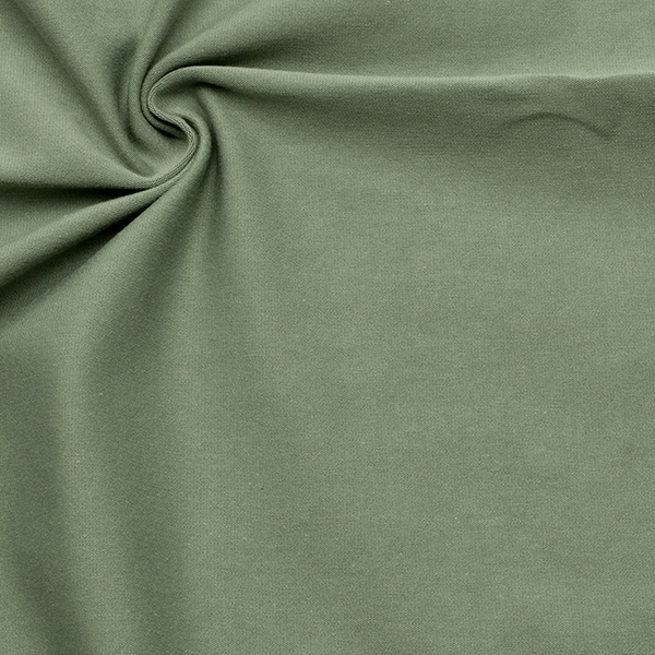 1,20 Meter - Bio-Baumwoll Stretch Jersey "Organic" Farbe Mint